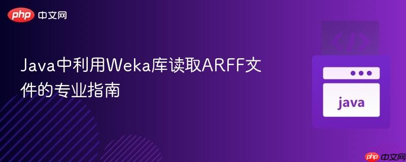 Java中利用Weka库读取ARFF文件的专业指南