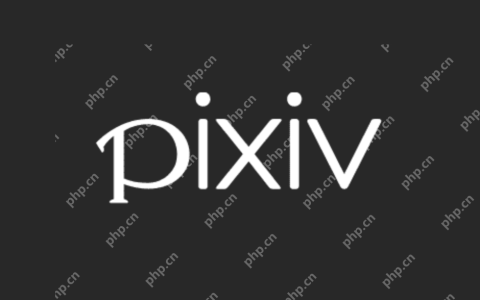 pixiv正版怎么安装_pixiv正版安装入口与访问说明