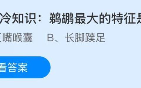 动物冷知识：鹈鹕最大的特征是什么？蚂蚁庄园课堂今天答案最新11月8日