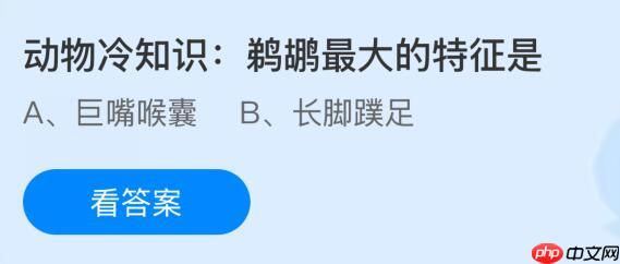 动物冷知识：鹈鹕最大的特征是什么？蚂蚁庄园课堂今天答案最新11月8日