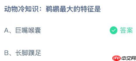 动物冷知识：鹈鹕最大的特征是什么？蚂蚁庄园课堂今天答案最新11月8日