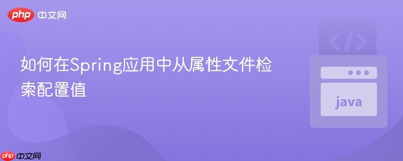 如何在Spring应用中从属性文件检索配置值