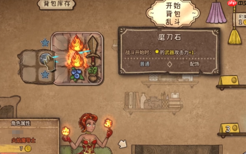 《背包乱斗》加星方法
