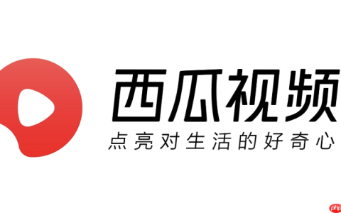 西瓜视频1万播放量有多少收益_西瓜视频播放量收益计算指南