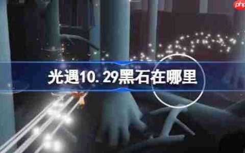 光遇10.29黑石在哪里-光遇10月29日黑石位置攻略
