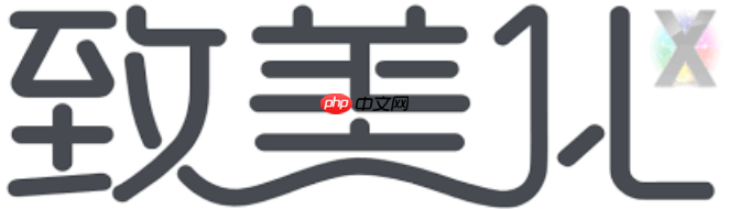 致美化美颜官网地址链接 致美化软件登录教程