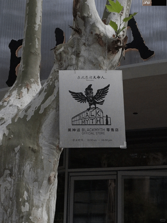 《黑神话》零售店导视大赏:设计太巧妙 你看懂了吗