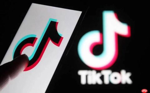 tiktok国际版手机版_国际抖音tiktok平板适配版本
