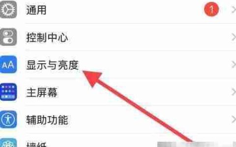 苹果手机调超小字体方法