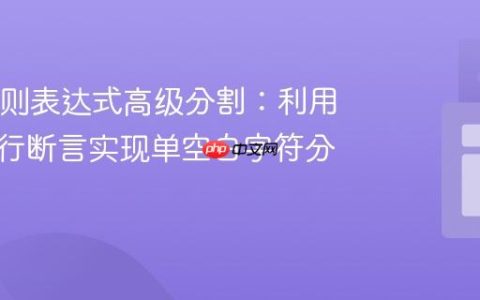 Java正则表达式高级分割：利用正向先行断言实现单空白字符分隔