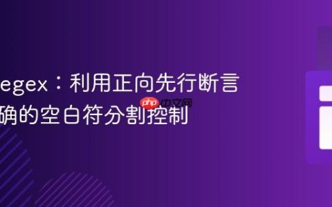 Java Regex：利用正向先行断言实现精确的空白符分割控制