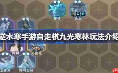 逆水寒手游自走棋九光寒林玩法介绍-逆水寒手游自走棋九光寒林怎么玩