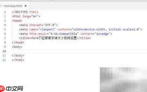 设置form下拉菜单字体大小
