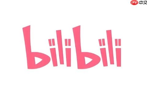 在B站怎么找人_在B站平台内搜索和找到特定用户的方法