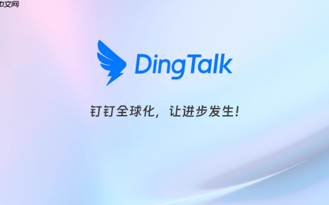 钉钉聊天窗口卡顿怎么办 钉钉聊天界面优化与操作方法