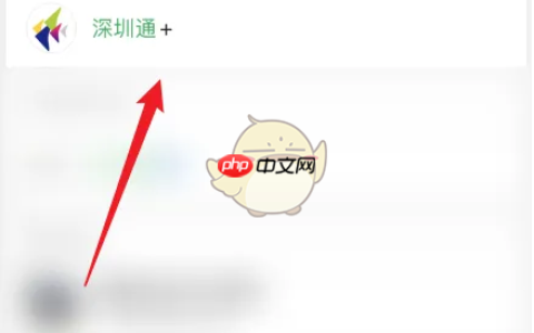 《深圳通》查询乘车记录方法