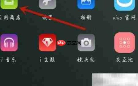 荒野乱斗无限钻石版下载指南