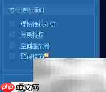 绿钻免费领空间播放器