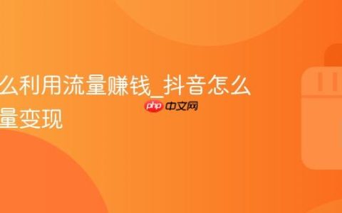 抖音怎么利用流量赚钱_抖音怎么通过流量变现