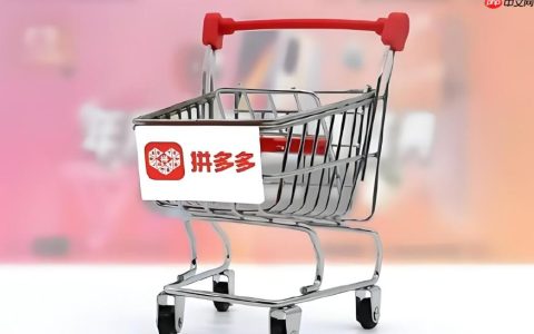 拼多多搜索推广选词方法是什么？拼多多搜索推广选词怎么选