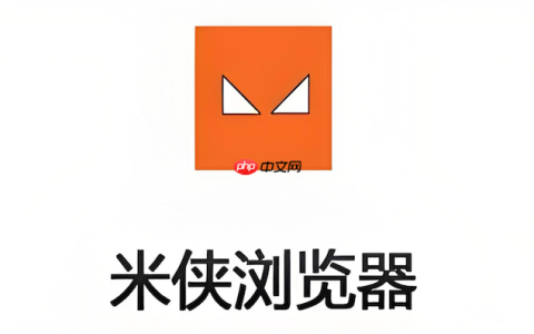 米侠浏览器网页打开慢怎么办_米侠浏览器网页加载速度提升技巧