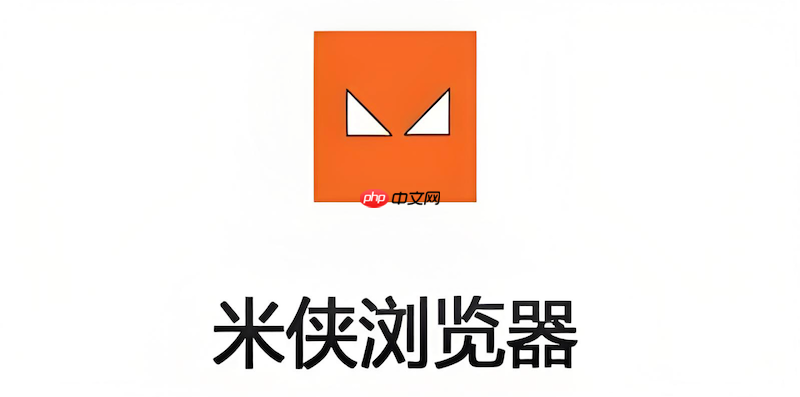 米侠浏览器网页打开慢怎么办_米侠浏览器网页加载速度提升技巧