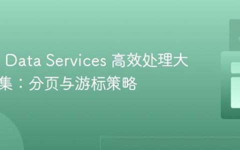 WSO2 Data Services 高效处理大型数据集：分页与游标策略