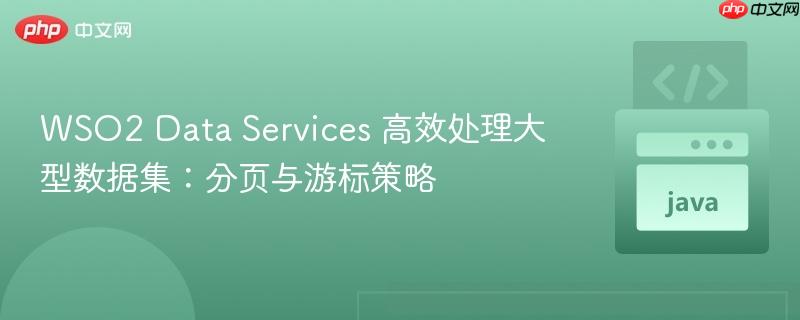 WSO2 Data Services 高效处理大型数据集:分页与游标策略