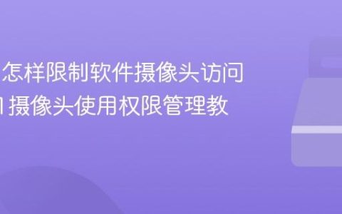 Win11怎样限制软件摄像头访问_win11摄像头使用权限管理教程