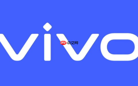 vivo如何开启OTG功能_vivo OTG功能开启方法