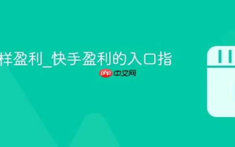 快手怎样盈利_快手盈利的入口指南