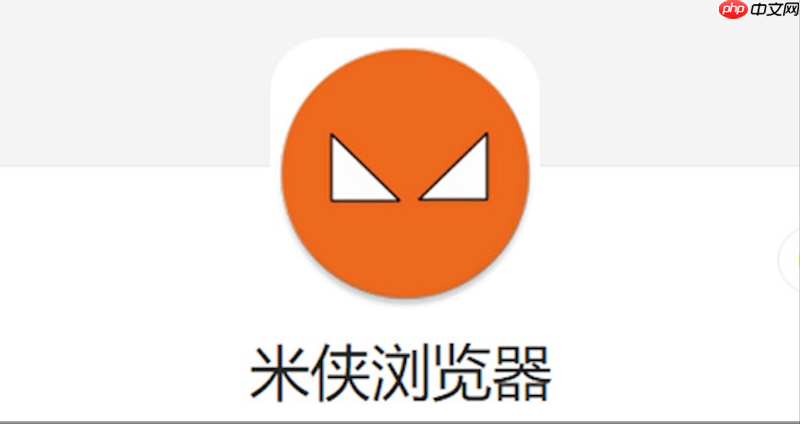 米侠浏览器无法保存密码怎么办_米侠浏览器密码管理恢复方法