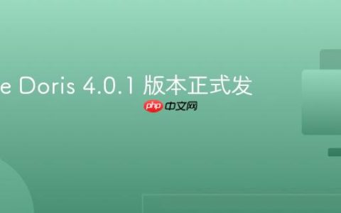 Apache Doris 4.0.1 版本正式发布