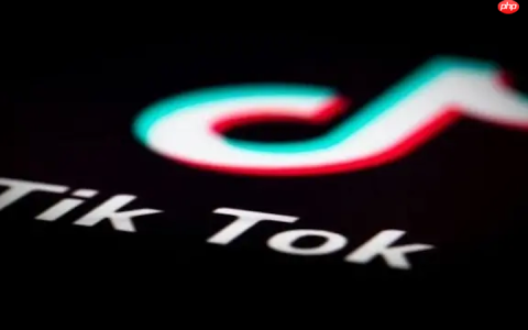 TikTok搜索不到话题怎么办 TikTok话题搜索优化与修复方法