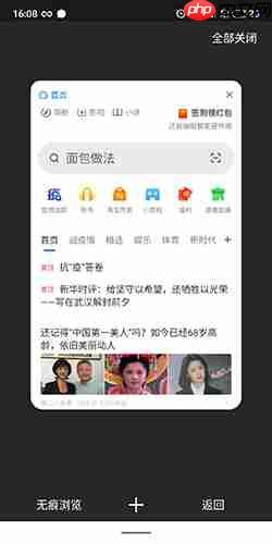《360手机浏览器》无痕模式设置方法
