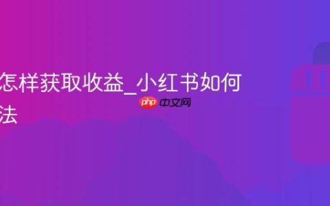 小红书怎样获取收益_小红书如何挣钱方法