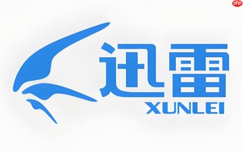 迅雷网盘最新官网入口 迅雷网盘平台链接官方直达首页