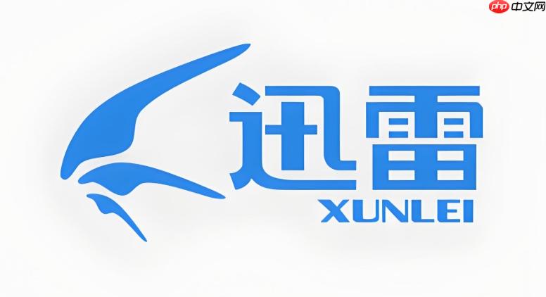 迅雷网盘最新官网入口 迅雷网盘平台链接官方直达首页