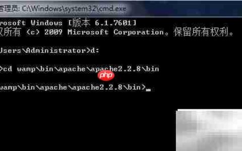 WampServer2.5安装Apache失败