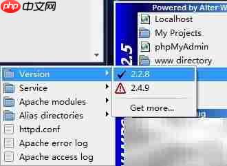 WampServer2.5安装Apache失败