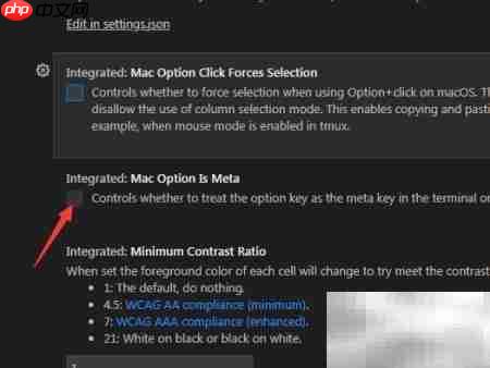 VS Code中Mac选项设为Meta