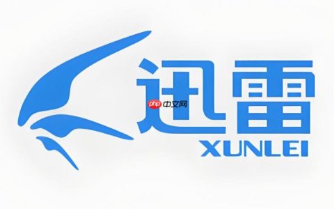 迅雷如何续费最划算_迅雷会员续费优惠及方法