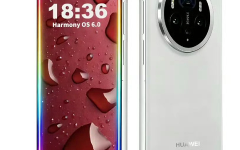 11月25日发布？华为Mate 80外观图曝光：大圆模组设计