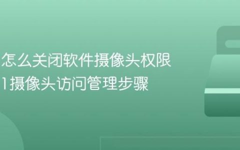 Win11怎么关闭软件摄像头权限_Win11摄像头访问管理步骤