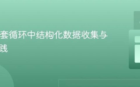 Java嵌套循环中结构化数据收集与处理实践