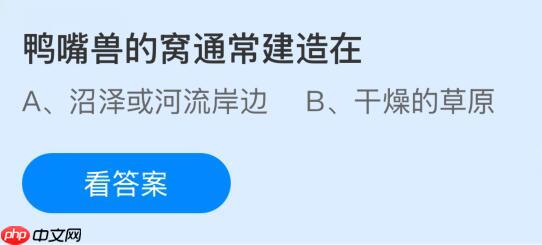 鸭嘴兽的窝通常建造在哪里?蚂蚁庄园课堂今天答案最新11月15日