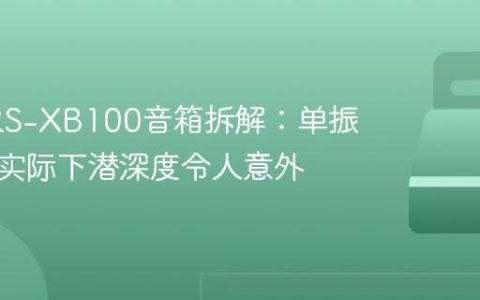 索尼SRS-XB100音箱拆解：单振膜低音实际下潜深度令人意外