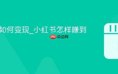 小红书如何变现_小红书怎样赚到钱
