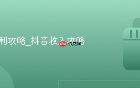 抖音盈利攻略_抖音收入攻略