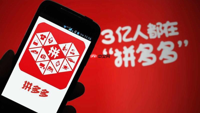 拼多多账号登录异常怎么办 拼多多账号登录修复与安全操作技巧